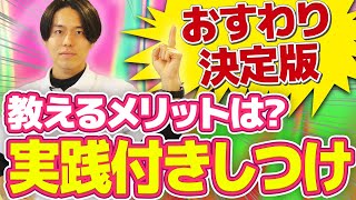 【プロ実践】犬のおすわりの正しい教え方！警察犬ドッグトレーナーが徹底解説