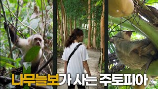 🇨🇷 자연보호에 진심인 코스타리카 | 마누엘 안토니오 국립공원 | 다큐감성 주의 | 코스타리카3