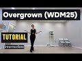 Overgrown (WDM25) linedance/ Tutorial/ Intermediate