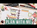 Classic Dashboard Happy Planner Plan With Me - Live Love Posh Wildly Chic Sticker Book May 2024