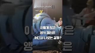 뭐가 이리 많이 나오노? 렛고 앵카!  #항해사 #해양대 #선박기관사 #seaman #anchor