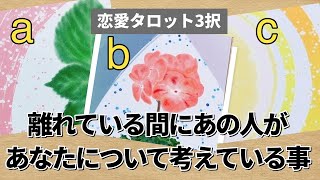 離れている間にあの人があなたについて考えている事【恋愛タロット3択】バランガン浜田らっこ