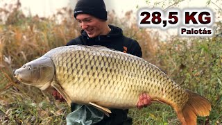 Palotás TITKA🌧 - 28,5 KG!👑 - Legendás pontyok nyomában⚡ (2.rész)