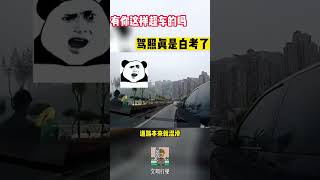 有你这样超车的吗，驾照真是白考了#shorts  #交通安全 #交通安全猿 #安全駕駛