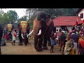 elephant kunnathoor ramu at arattupuzha temple pooram 2018