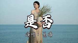 王晴 - 是否『是否 这次我已真的离开你，是否 泪水已干不再流，是否 应验了我曾说的那句话 情到深处 人孤独。』『动态歌词MV』