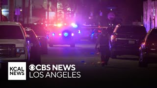 Suspect arrested for shooting LASD K-9 in Compton