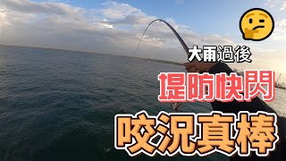 大雨過後 預報沒雨了  結果還是遇到2波大雨  快閃一下 運氣不錯 還遇到不錯的咬況 #堤防 #磯釣 #FISHING #安平