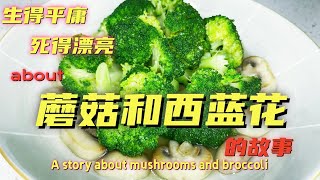 家常菜 美食推荐  营养搭配新主张，蘑菇西兰花的完美制作👩‍🍳  一个人也要好好吃饭 厨房日记 A story about mushrooms and broccoli#美食 #一人食 #推薦 #食谱