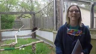 3rd Grade Lesson Five: Environmental Changes (3-LS4-4)