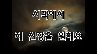 [네이트 판] 시댁에서 제 신장을 원해요