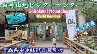 白神山地ビジターセンター🏞【世界遺産】ブナ林《青森県中津軽郡西目屋村》しらかみさんち