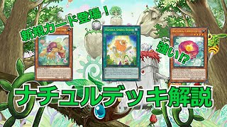 【遊戯王】 新規登場！ナチュル解説【カメリア/モルクリケット/春風/春化精/ADS】