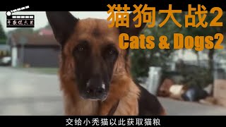 影评｜欧美电影《猫狗大战2》猫咪被主人抛弃后，成功黑化，试图消灭地球上所有的狗狗！