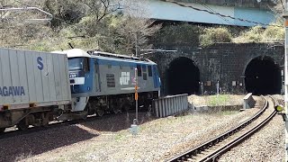 瀬野八 山陽本線 八本松～瀬野 貨物列車 2022.04