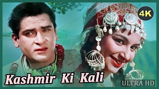 Kashmir Ki Kali Full Movie Hindi - Shammi Kapoor - कश्मीर की कली - शम्मी कपूर, शर्मिला टैगोर