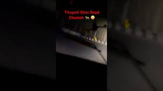 Tirupati Ghat Road Night Drive #teluguvlogs #tirupati #forest #animals #lordvenkateshwara #tirumala