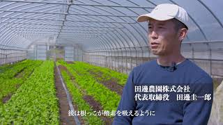 農家インタビュー 田邊農園株式会社