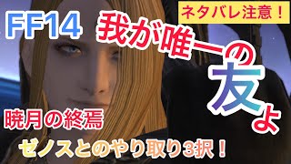 【FF14】暁月編6.0ストーリー、ゼノスとのやり取り3択　ネタバレ注意【暁月の終焉】