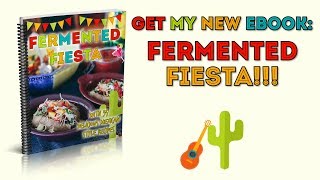 Fermented Fiesta 2019 eBook