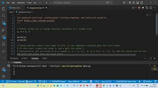 Python basics - Assign multiple variables in a single line