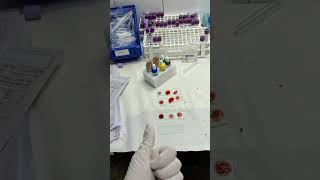 Upcnet#biology #lab #ytshorts #futuremedicos #bscnursing 🧫👩🏼‍🔬🕵🏼‍♀️