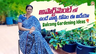 Balcony Gardening/ మీ బాల్కనీ  డైరెక్షన్ బట్టి ఈ కూరగాయలు పెరుగుతాయి  @MADGARDENER