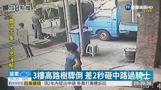 3樓高路樹驟倒 差2秒砸中路過騎士 | 華視新聞 20200813