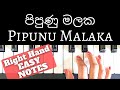 Shalitha Abeywickrama - Pipunu Malaka (පිපුණු මලක) |Right hand Piano Tutorial | EASY | NOTES | +Slow