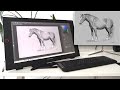 The XP Pen Artist 24Pro drawing display | Review and drawing timelapse!