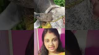 এখনো ভালো মানুষ আছে💞💞 #shotrs #viralvideo #trending #shortfeed