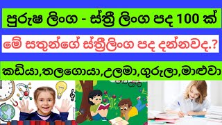 පුරුෂ ලිංග - ස්ත්‍රී ලිංග පද - Purusha Linga - Sthri Linga pada 100 ක්