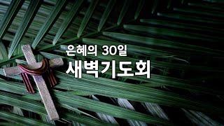 대구신광교회 은혜의 30일 새벽기도회 (23.03.14)