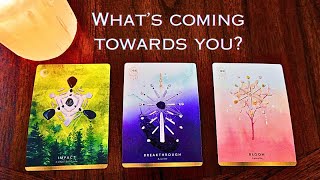 What is Coming Towards You 😎 Pick a Card 🍀💰⭐️