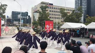 にいがた総踊り 2019 3日目 「心風天舞」にいがた総おどり連「風雅」