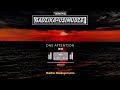 MrAttention-GADZIKA USIMUDZE Produced by Dj Levels(Official Audio)