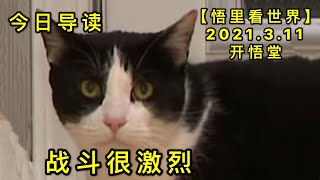 KWT1300战斗很激烈-今日导读20210311-1【悟里看世界】