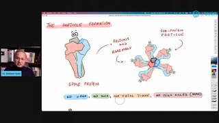 Novavax Phase III and Phase IIb Trial Results (Why Do I Like Novavax?)