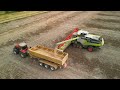 4kᵁᴴᴰ harvest 2024 two of thurlow estate s claas lexion 8800 combines harvesting beans in suffolk