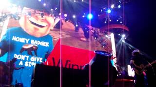 Celebrity-Brad Paisley(Live)