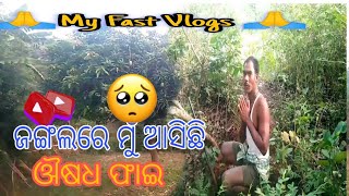 ଜଙ୍ଗଲରେ ମୁଁ ଆସିଛି ଔଷଧ ଫାଇ  ||  jangalre mu Achici    osada pani odia Vlogs 🙏 my Fast Vlogs