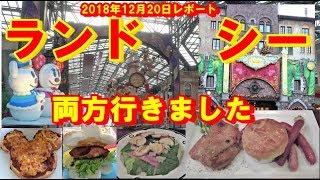 2018年12月20日　ランド、シー　レポート