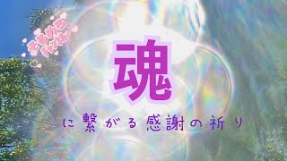 【祈り】魂と繋がる/愛と繋がる/感謝の祈り/覚醒/感謝/愛の光/運氣UP