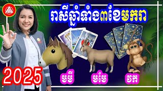 រាសីឆ្នាំទាំង៣ ប្រចាំខែមករា ឆ្នាំ២០២៥, ឆ្នាំមមី មមែ វក, លុយកាក់ ស្នេហា ការងារ