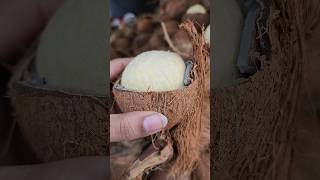 ఇది మీలో ఎంత మందికి ఇష్టం..😋 #shorts #food #coconut #youtubeshorts #trending