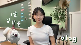 👩‍🏫 신규 교사 브이로그 / 새학기 수업 / 1살 강아지와 계곡산책 / 자취 일상 모음 zip