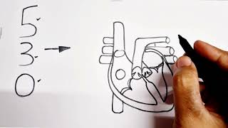 530 Number turns into Human Heart diagram drawing class 10 Science biology CBSE NCERT