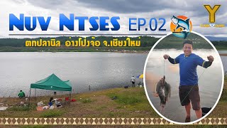 Nuv Ntses EP.02 | ตกปลานิล อ่างเก็บน้ำโป่งจ้อ จ.เชียงใหม่