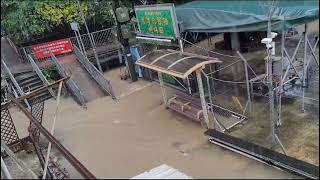 黑雨下的九華徑舊村2023年9月8日