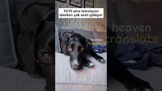 televizyon izlerken çok sesli gülüyor